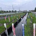 道の駅いちかわ　孫とクリル