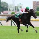 ジューンベロシティ（25/06/14・第27回 東京ジャンプステークス・東京競馬場）