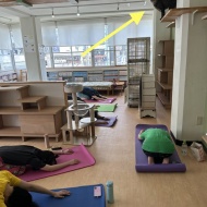 今日の猫式ヨガ