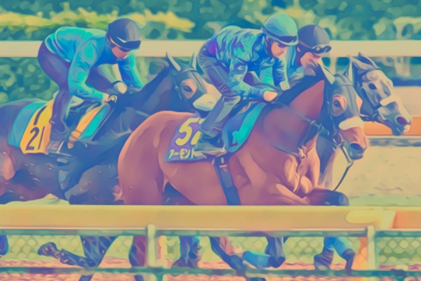 賢い馬券の買い方 追い切り診断