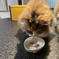 テンション爆上がりのふたり