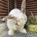 3月のイベントラッシュ♪