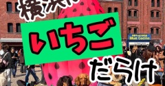 横浜うろうろ。赤レンガとかマリンウォークとか。