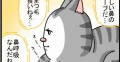 猫ってぼーっとしながらつい観察しちゃう