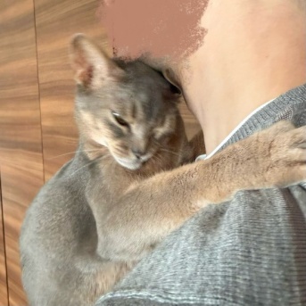 パパ帰還に喜びのわか坊