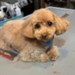 お客様のご紹介