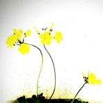 ＝佐藤太の監督雑記＝