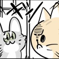 この戦争を終わらせにきた！！