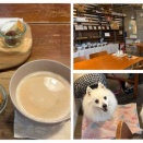 犬も歩けば・・・。犬同伴可カフェ