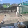 久しぶりの父ちゃん。