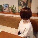 『まるでクローゼット～セラピスト・紺野みずき~』の画像