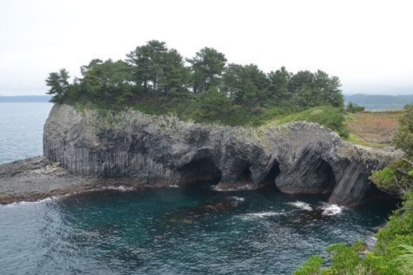 勝手に花言葉 徒然なるままに ハマナデシコ