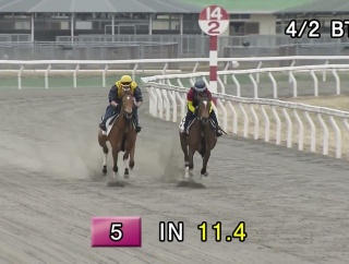 HBAトレーニングセール2026　個人的に思い入れの強い馬