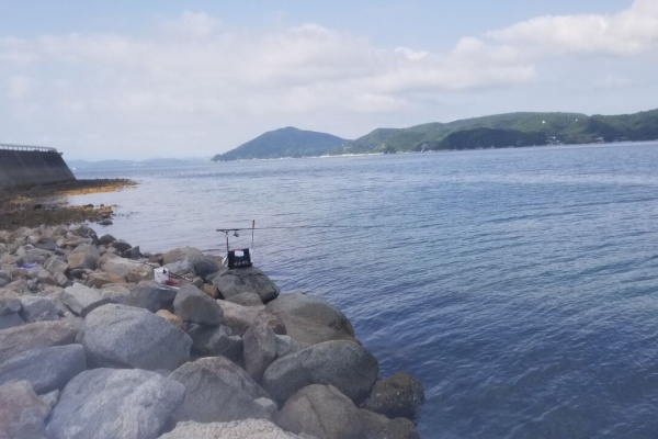 とこぶしの小豆島釣り日記