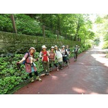 �ؽ��ҥϥ����󥰡�����Ƭ���ϥ����󥰡٤β���