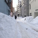 大雪の猛威の2月が始まりました