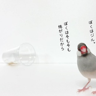ブンチョ日誌