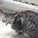 境界線と敬語が自分を守ってくれる