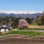 旅からす本館　日本をもっと楽しもう!!