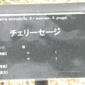 現在の状況260518