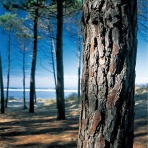 人に避けられる肌より好かれる肌に！