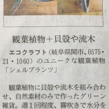 『【日経MJで紹介されました】自然素材メーカーのエコクラフトさん』の画像