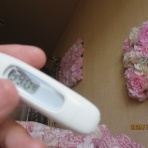 HOUKOUの彷徨人生