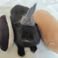 幸せを噛みしめる。