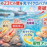 『「光マイクロバブル文明史」考（第6150回記念）（28）陸奥湾ホタテ問題（29）』の画像