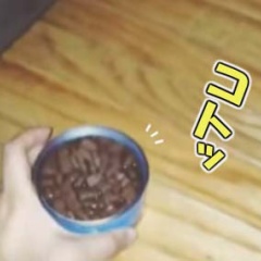 うちのネコに「ねこ缶」をあげてみた。ここに置いておくよ → こうなる…