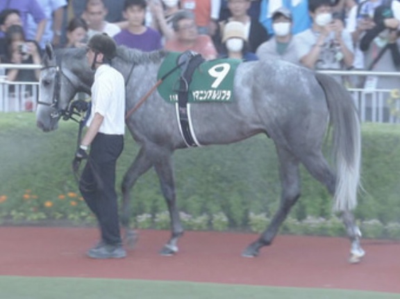 【競馬予想】[2]第61回CBC賞(GⅢ) /2025