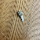 ウルミちゃんかいな