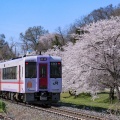 JR東日本キハ110系長野車両センター@キハ110-225（桜並木）