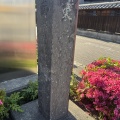 上三川町からも当院をご利用ください