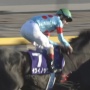 【競馬】11年ぶりに天皇陛下が観覧された『天皇賞・秋』、レコード記録で勝利したイクイノックスが陛下にお辞儀をする奇跡の一枚が激写され話題に！