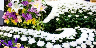 【衝撃】母が一生吃音を隠していて、知っていたのは母の妹二人と俺の姉だけだった