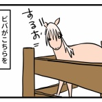 今日もうちのウマコが騒いでる