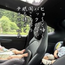 草を結ぶ（回顧録）