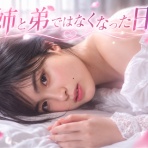 ないものねだりの本棚