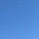 5月7日（木曜日）今日と明日のグランボレ