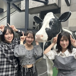 ハロプロの種