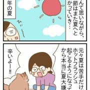 ホットフラッシュで顔にブツブツができた話②