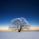 資格試験の学習方法