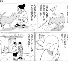 海外立ち話紳士とのら犬の距離。