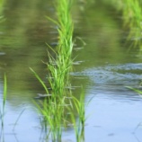 『【悲報】田舎カスさん、トンデモない苦情を寄せてしまうwww』の画像