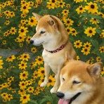 ひとりたのしむうた