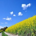 宅建合格への道しるべ