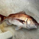 閖上港インフィニティ＆RISINGのblog