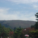 『奈良散策②奈良公園～東大寺』の画像