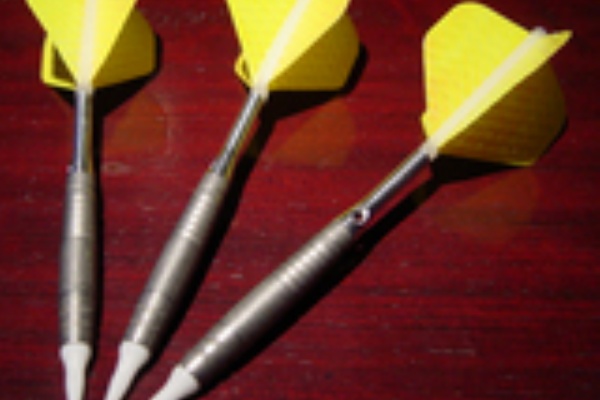 ダーツやろうよ みんなのマイダーツ紹介